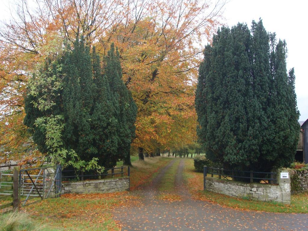 Abbotshaw House Farm B&B Newcastleton Екстериор снимка