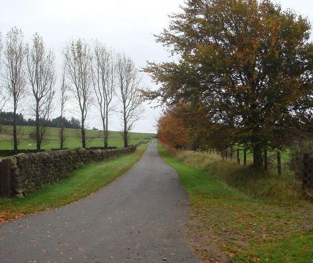 Abbotshaw House Farm B&B Newcastleton Екстериор снимка